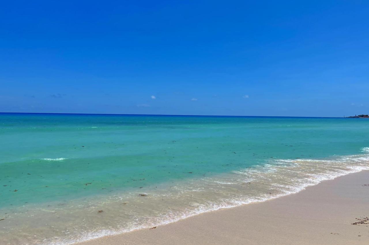 Renovated Studio In Cancun Beach At The Hotel Zone ภายนอก รูปภาพ